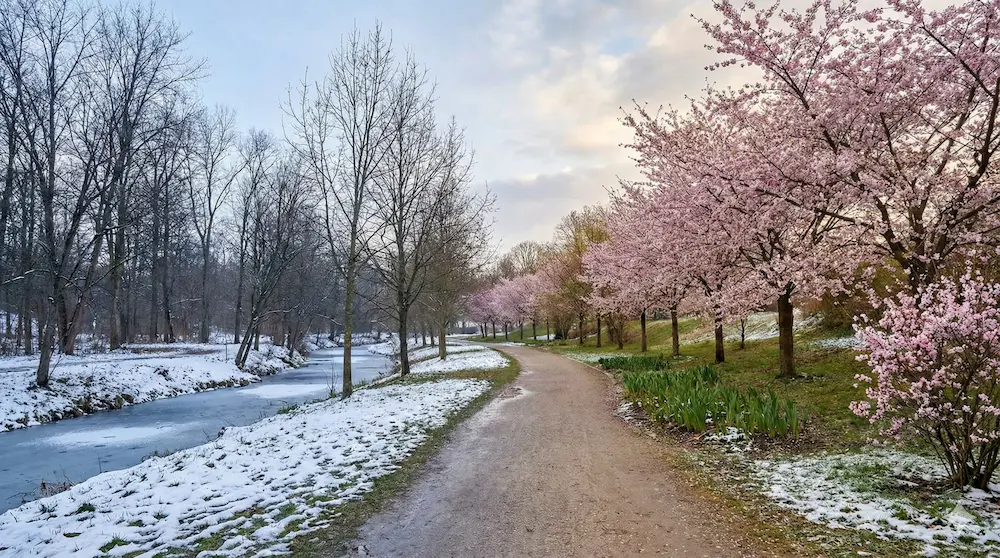 冬から春への移り変わりと寒さが残る時期を表したイメージ画像