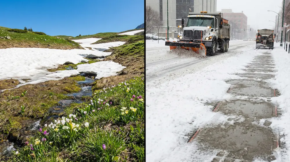 自然な雪解けと人為的な除雪作業の違いを対比したイメージ画像